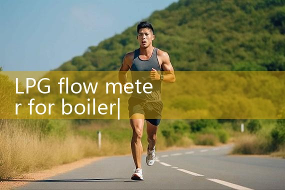 LPG flow meter for boiler|digital flow meter