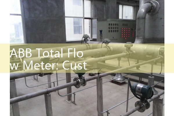 ABB Total Flow Meter: Custody transfer gas pipeline sourcing frameworks.
