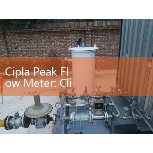 Cipla Peak Flow Meter: Clinical Expiratory Devices for Personal Home Care