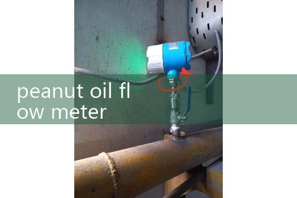 peanut oil flow meter