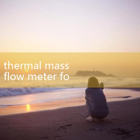 As the biogas composition changes over time, the gas composition settings in Gas-SelectX ®  can be rep|turbine flow meter