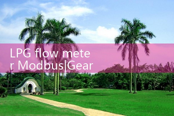 LPG flow meter Modbus|digital flow meter