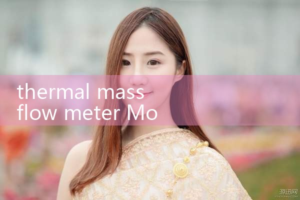 thermal mass flow meter Modbus|turbine flow meter