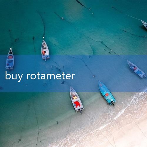 Rotameter | Springer Natu|Variable Area Water Flow |Digital Natural Gas Fl|Bulk-|turbine flow meter