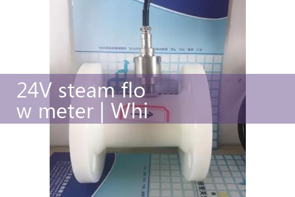 24V steam flow meter