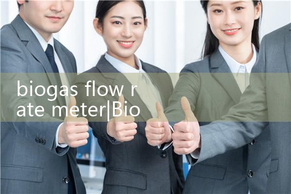 biogas flow rate meter|digital flow meter