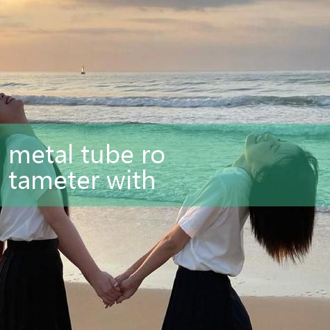 Metal tube rotameter - Bi | FM610 Metal Tube Rotameter | Metal tube rotameter - Changshu | Fl | turbine flow meter