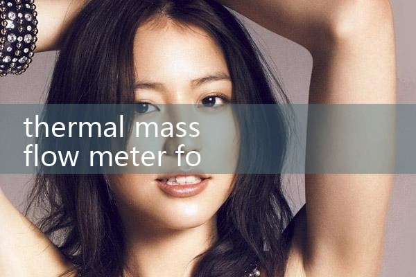 thermal mass flow meter for stack gas|turbine flow meter