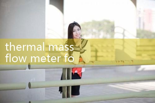 thermal mass flow meter for energy monitoring|turbine flow meter