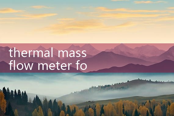 thermal mass flow meter for carbon dioxide|turbine flow meter
