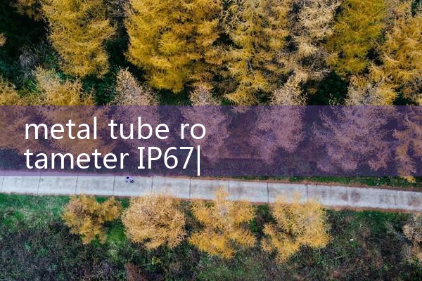metal tube rotameter IP67|turbine flow meter