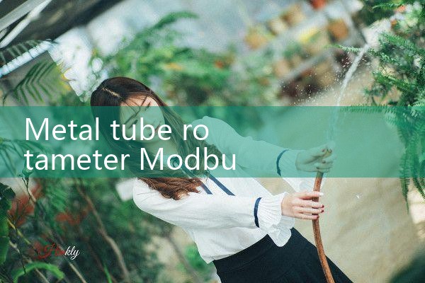 metal tube rotameter Modbus|turbine flow meter