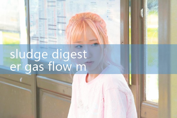 sludge digester gas flow meter|digital flow meter