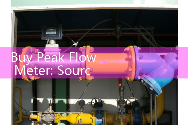 Buy Peak Flow Meter: Sourcing Certified Personal Bronchial Airway Trackers