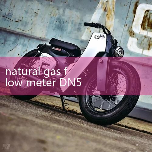 Natural Gas LPG Gas Compr|Flow Meter Manufacturer, |High Accuracy Digital Nat|Di|digital flow meter