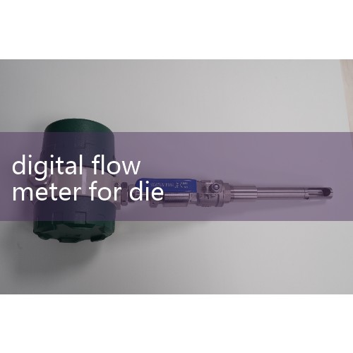 Guide to English Translation of Automotive and Motorcycle Parts | I am a newly graduated translator. Can anyone provide me with relevant translation materials for automotive shock absorbers? _Baidu How many liters is 1 cubic meter of diesel equivalent to? |heat flow meter