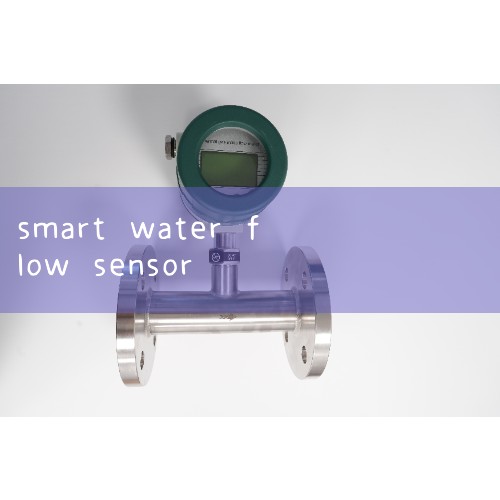 sensor and mouth (usually when cleaning, not only apart filter room dismantled sensor). 2 ensure the|water flow meter