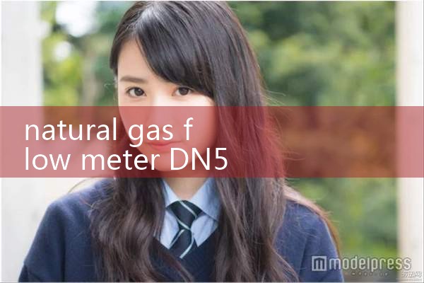 natural gas flow meter DN50|digital flow meter