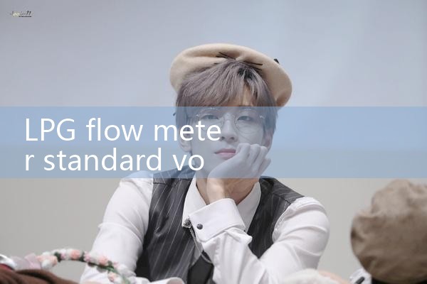 LPG flow meter standard volume|digital flow meter