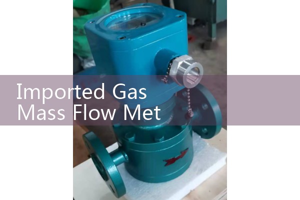 Imported gas mass flowmeter