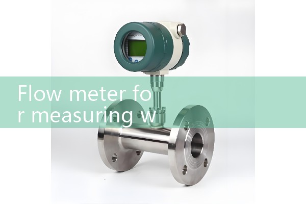 Flow meter for measuring water flow rate