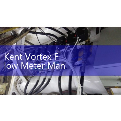How about Shenzhen Kent Automation Instrument Co., Ltd? |What are the well-known brands of steam flow meters? What are the brands of electromagnetic flow meters? What domestic enterprises produce and process flow meters? There are many flow meter manufacturers in Shanghai, and our company wants to buy a few electromagnetic flow meters|