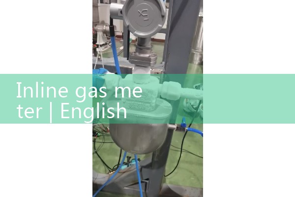 inline gas meter|water flow meter
