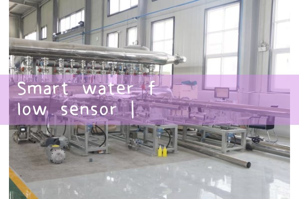 smart water flow sensor|water flow meter