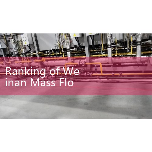 Flowmeters | Top 10 Chinese Flow Meter Enterprises Ranking | What are the well-known brands of steam flow meters | Flowmeter Ranking List|
