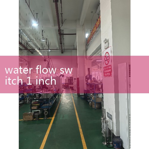 Smart Glasses: Switch Companion Recommendation - What is the Cost Performance of Dream Glass Flow AR Glasses How much is the genuine Ansys Lumerical FDTD software|