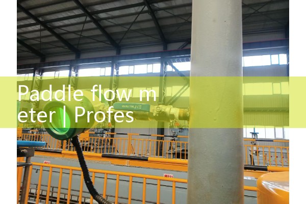 paddle flow meter|magnetic flow meter