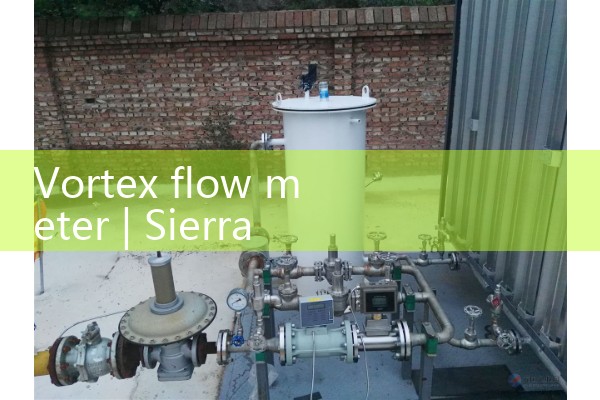 vortex flow meter
