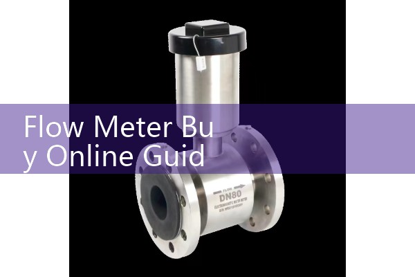 Flow Meter Buy Online Guide: Industrial Sourcing Tips for Selecting Correct Specifications