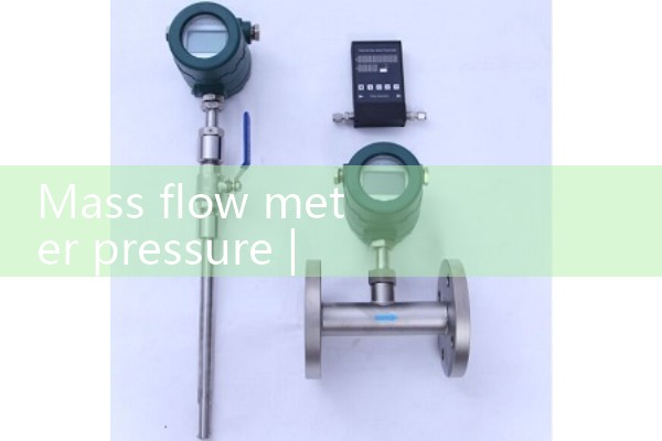 Mass flow meter pressure