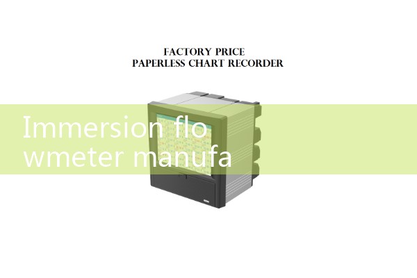 Immersion flowmeter manufacturer