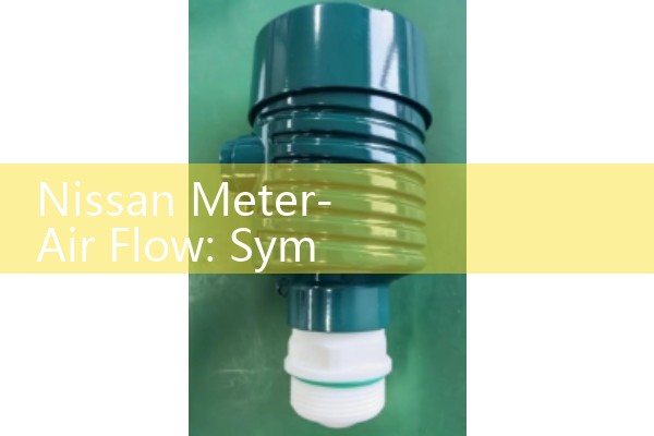 Nissan Meter-Air Flow: Symptoms and Diagnostics of a Bad MAF Sensor