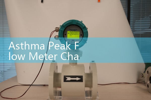 2-inch flow meter