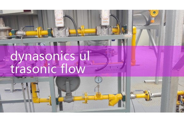 dynasonics ultrasonic flow meter|heat flow meter