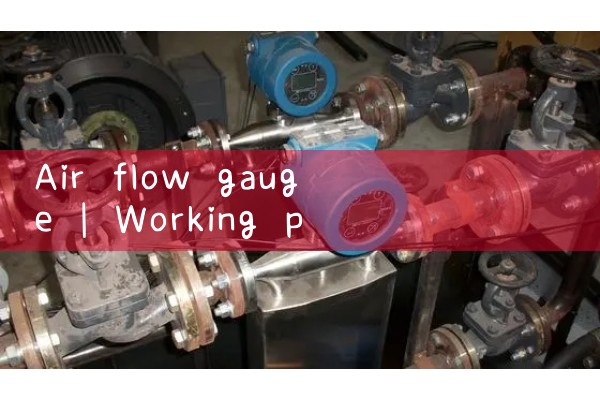 air flow gauge|heat flow meter