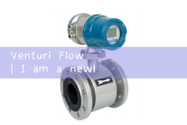 venturi flow|magnetic flow meter